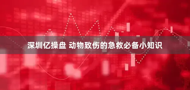 深圳亿操盘 动物致伤的急救必备小知识
