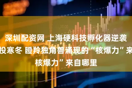深圳配资网 上海硬科技孵化器逆袭全球创投寒冬 瞪羚独角兽涌现的“核爆力”来自哪里