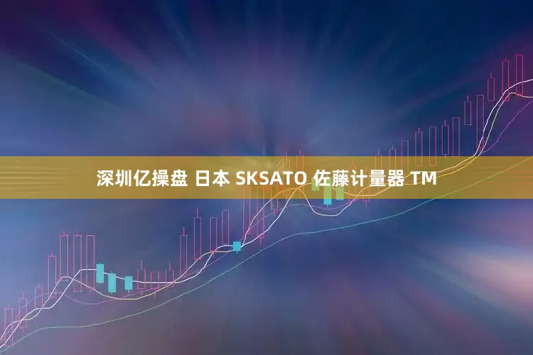 深圳亿操盘 日本 SKSATO 佐藤计量器 TM
